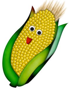 Ear Of Corn Drawing