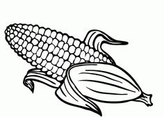 236x168 Huge Collection Of 'corn Cob Drawing' Download More Than
