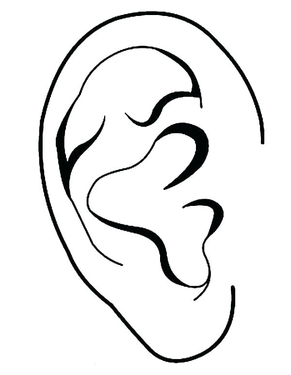 600x774 Ear Of Corn Coloring