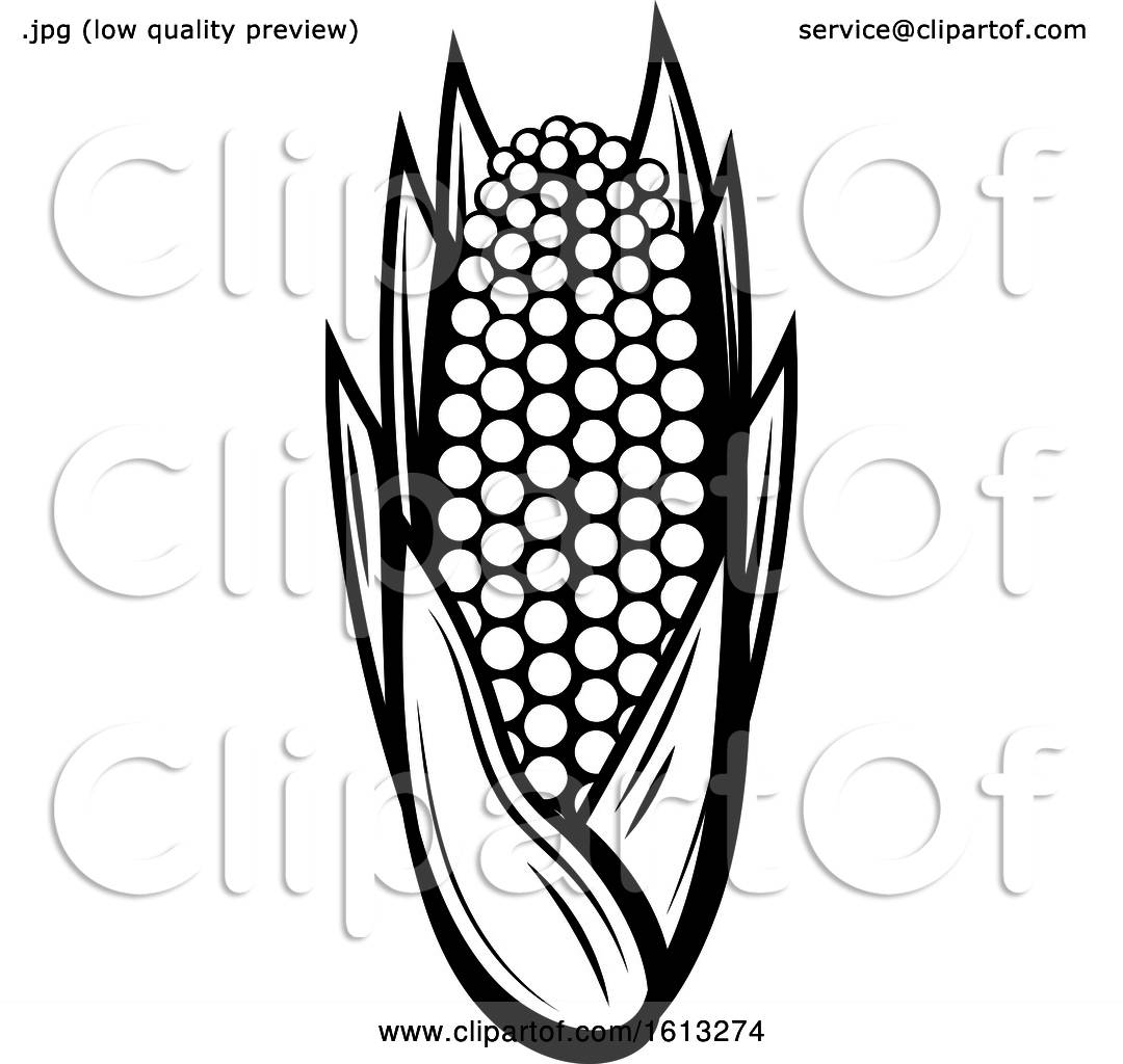 1080x1024 Clipart Of A Black And White Ear Of Corn