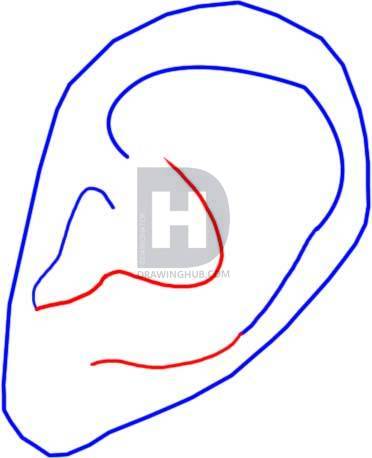 372x458 How To Draw An Ear, Step