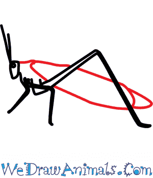 300x350 How To Draw A Green Grasshopper