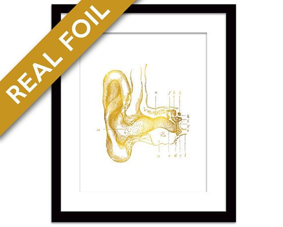570x456 Human Ear Anatomical Gold Foil Art Print