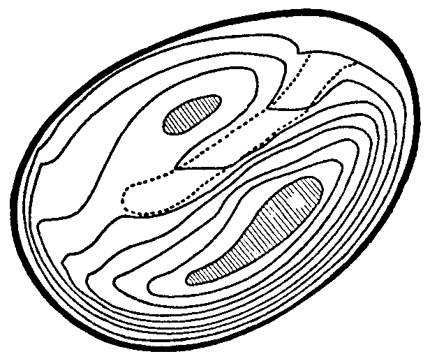 616x517 Structure And Function Of The Middle Ear