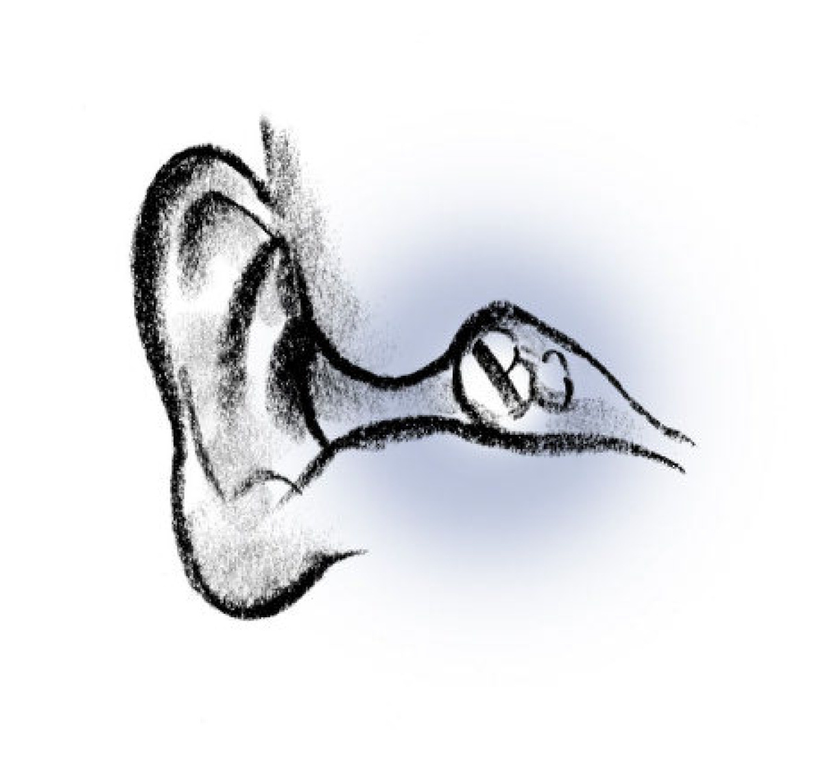 1200x1114 The Eardrum Fascinating Facts About Body Parts The Star