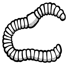 229x220 Image Result For Black And White Clip Art Of Earth Worm Pictures