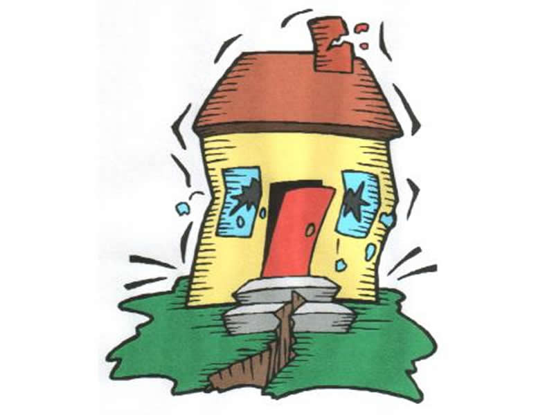 800x600 Can Animals Really Sense An Impending Earthquake