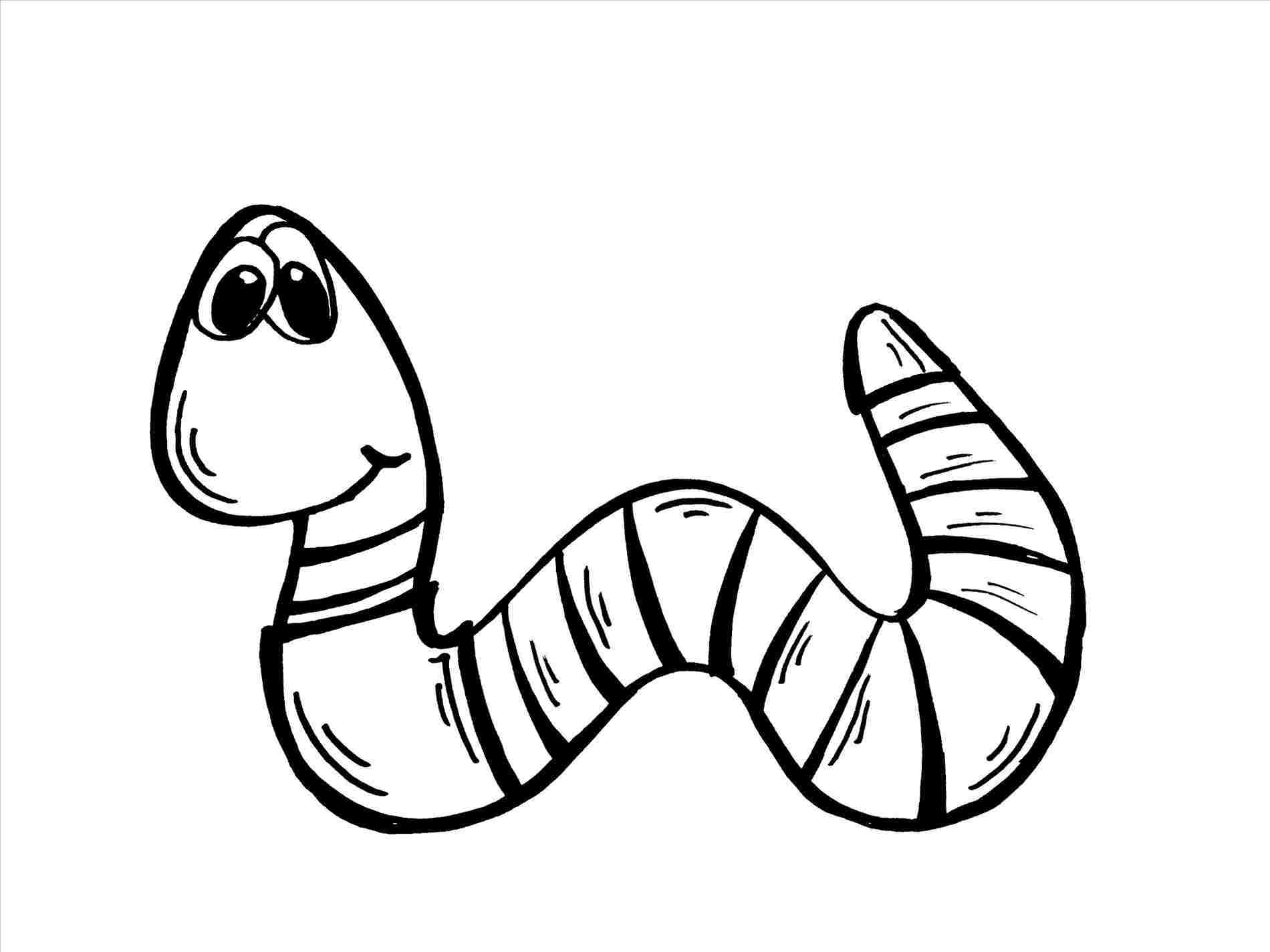 1900x1425 Worm Cartoon Drawings Of Worms Drawing