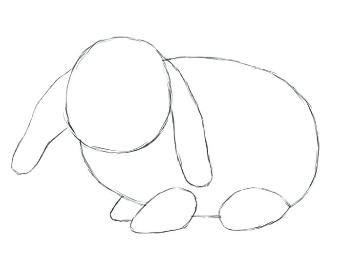 700x525 How To Draw A Easter Bunny Step