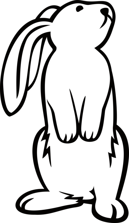 433x750 Drawing Bunnies Art Transparent Png Clipart Free Download