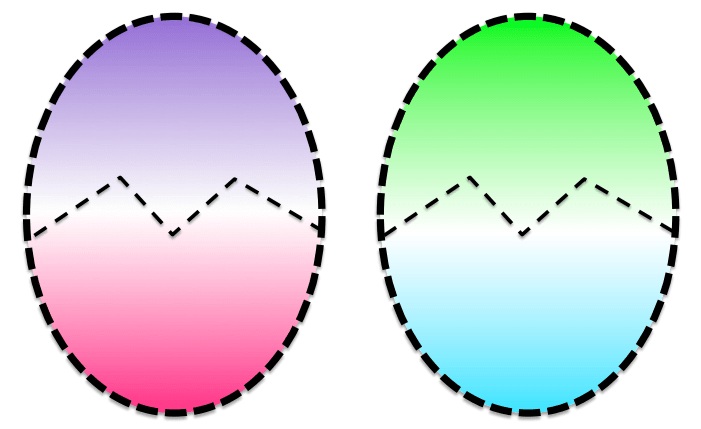 701x429 Easter Egg Drawing Printable Template Calendar