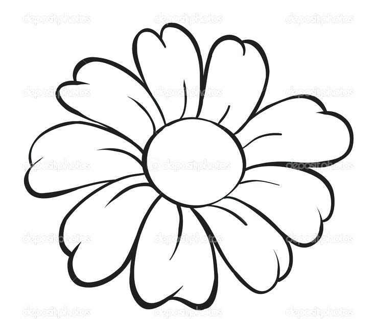 736x648 How To Draw Simple Flowers For Kids Simple Flower Drawings