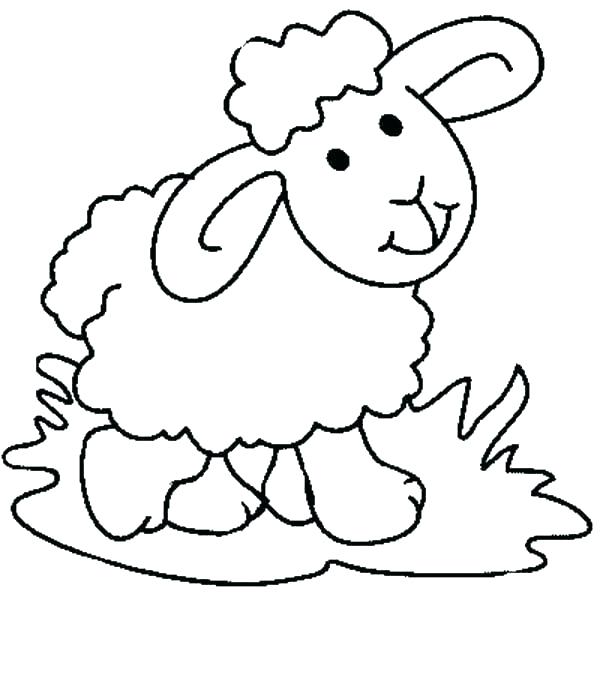 Collection of Lamb clipart | Free download best Lamb clipart on ...