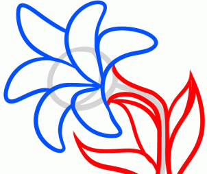 302x254 How To Draw An Easter Flower, Easter Lily, Step