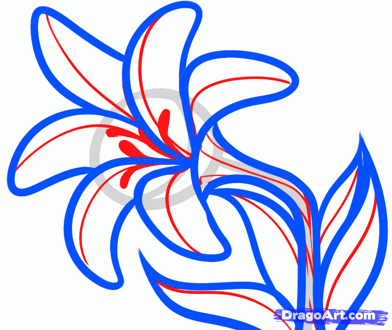 Easter Lily Drawing | Free download on ClipArtMag