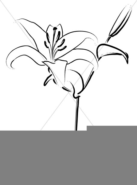 446x600 Lovely Lily Line Art Easter Clipart Free Images