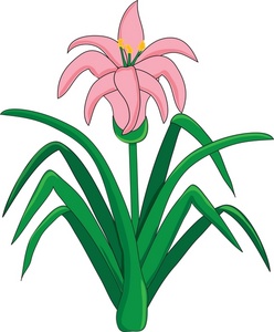 248x300 Easter Lilies Clipart Drawing