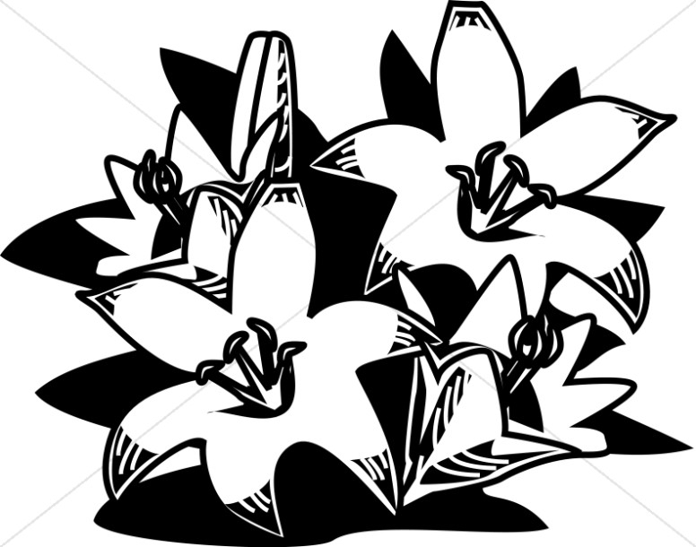 776x610 Easter Lilies Clipart Black And White