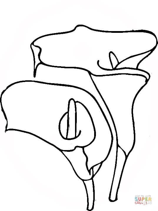 537x720 Easter Lilies Coloring