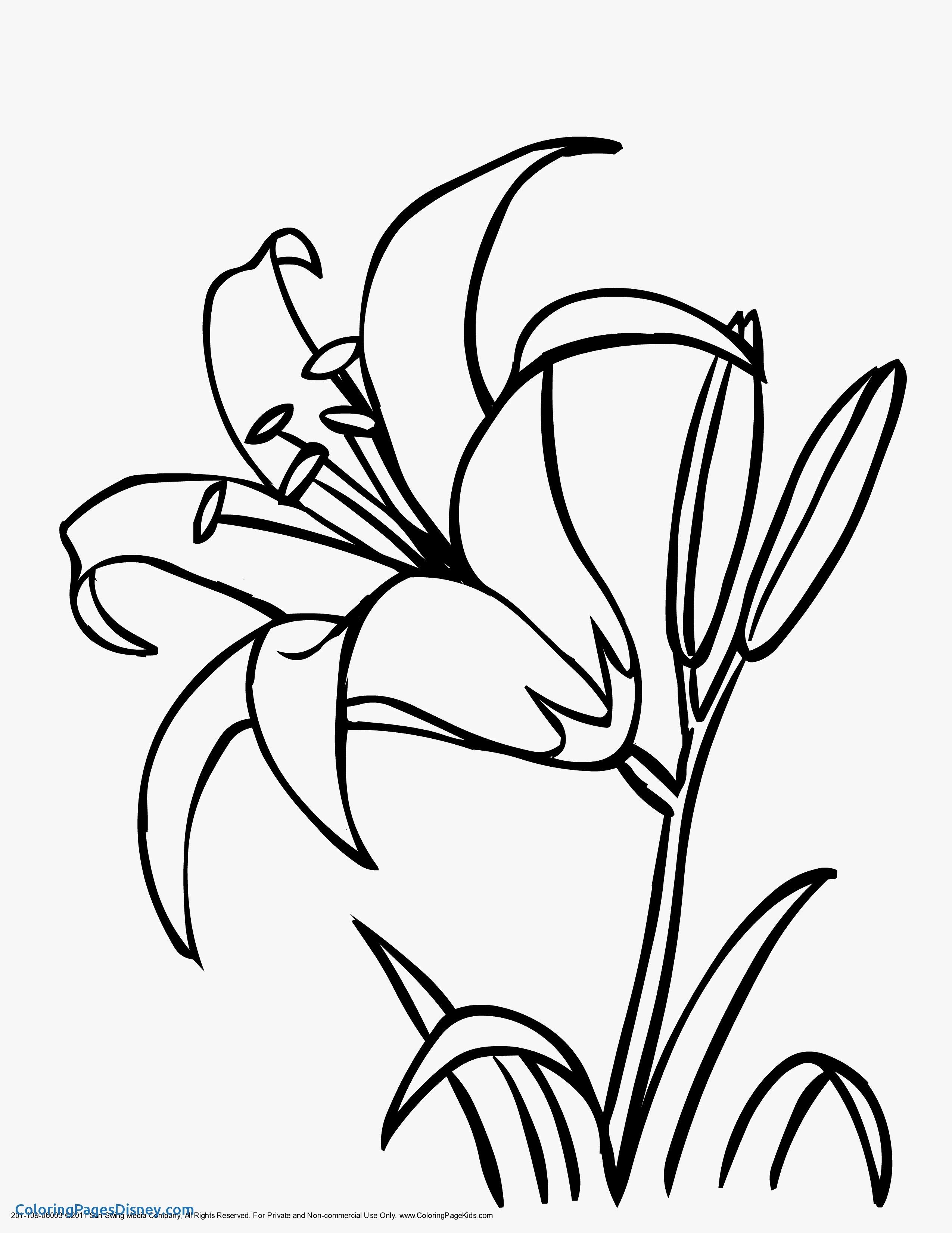 2550x3300 Easter Lily Coloring Page