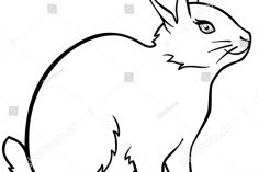 236x157 Easter Bunny Rabbit Drawing Images Step Of Cartoon How To Carmi