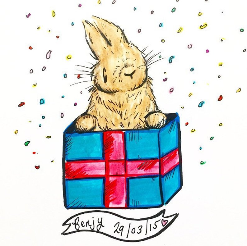 794x792 Custom Bunny Drawing Rabbit Portrait Bunny Portraitrabbit Etsy