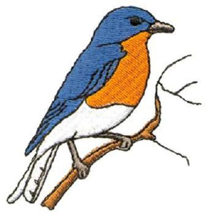 794x813 Eastern Bluebird Hat Embroidered Wildlife Men Women Baseball Etsy