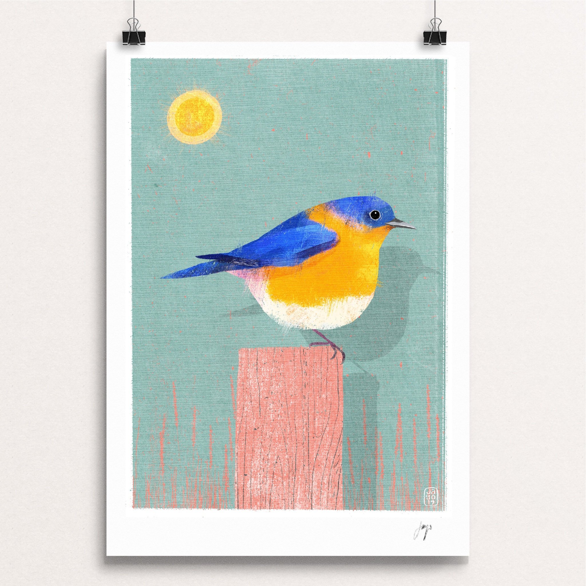 2048x2048 Eastern Bluebird