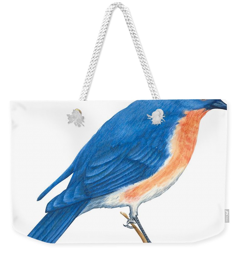 800x845 Eastern Bluebird Weekender Tote Bag For Sale
