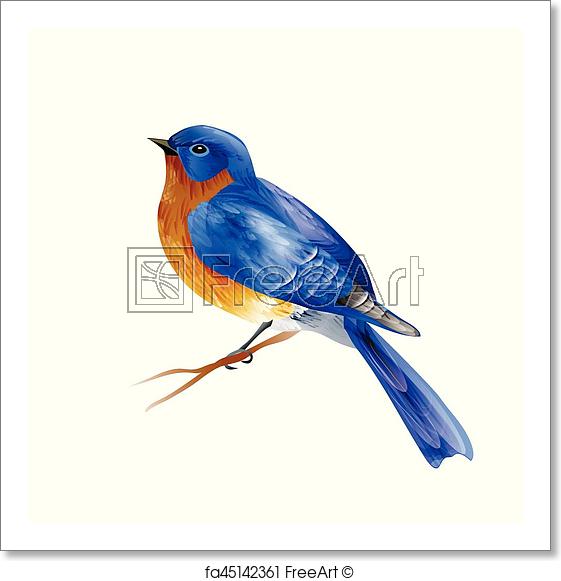 561x581 Free Art Print Of Bird Of Spring Vector Bird Of Spring Eastern