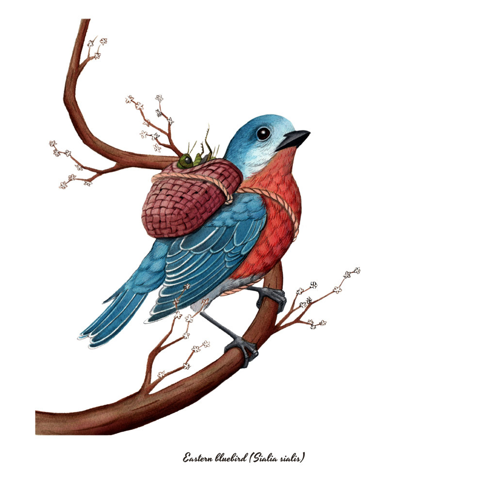 1008x1008 Drawing Illustration Art Cute Food Diet Birds Painting Watercolor