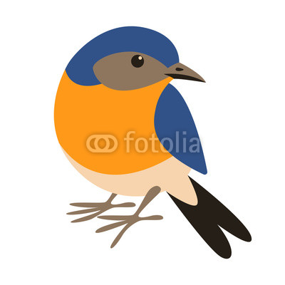 400x400 Eastern Bluebird,flat Style, Front Buy Photos Ap Images