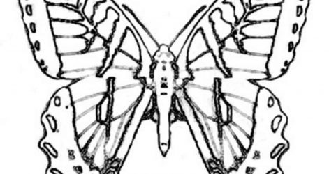 471x250 Butterfly Drawings Abstract Easy Step