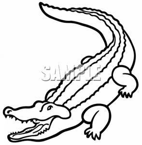 294x300 Crocodile American Alligator Transparent Png Clipart Free