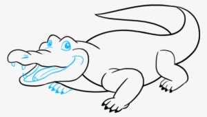 300x170 How To Draw Alligator