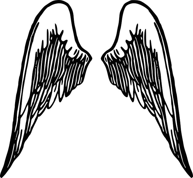 640x590 Drawing Easy Angel Wings Troller Us