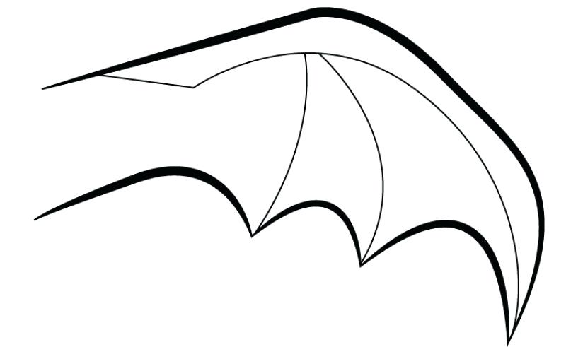 800x491 Cartoon Fundamentals How To Draw A Face Correctly Tutorial Drawing