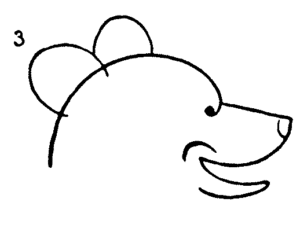 300x239 How To Draw A Bear Face Step