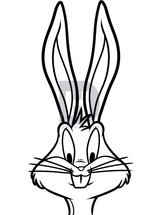 538x720 How To Draw Bugs Bunny Easy, Step