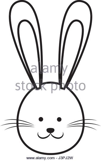 339x540 Huge Collection Of 'easter Bunny Face Drawing' Download More Than