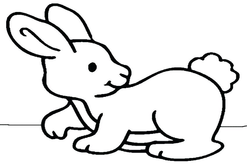 850x567 Simple Bunny Drawing How To Draw A Easy Bunny Step Simple Bunny