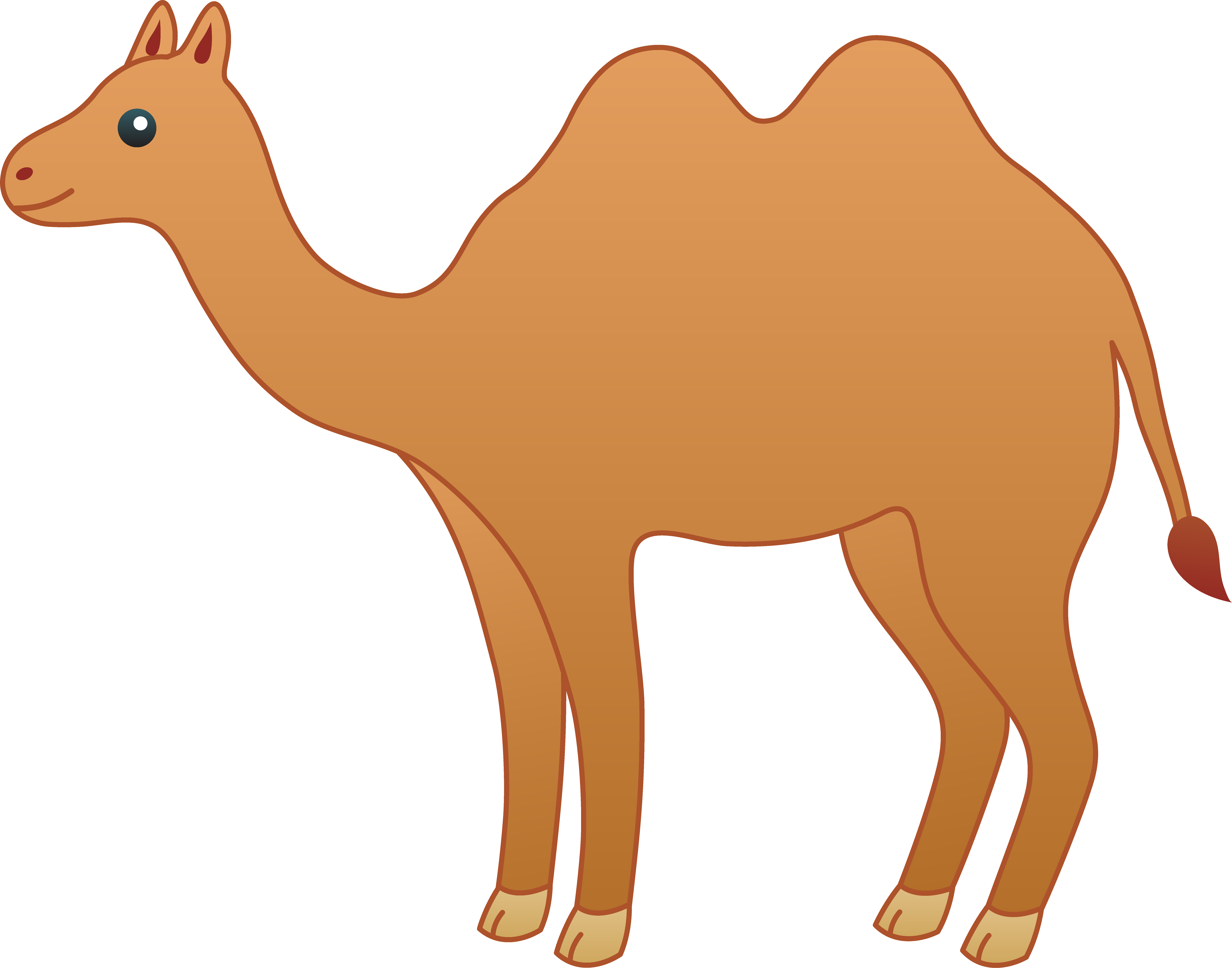 7934x6232 Cartoon Pictures Of Camels Gallery Images