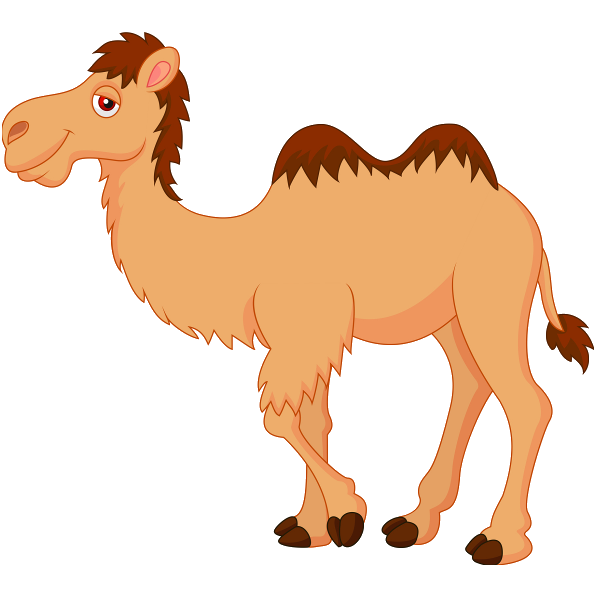 600x600 Collection Of Free Camel Drawing Illustrated Download On Ui Ex