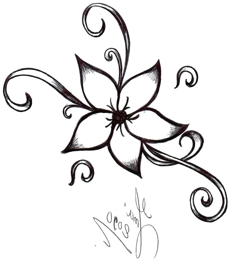 736x830 Easy Cartoon Flower Drawings Image Titled Draw Flowers Step