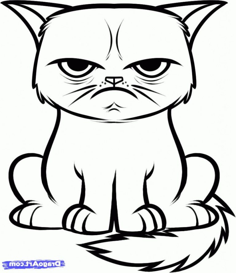 768x887 Image Result For Cats Drawings Easy Coloring Pages Drawings Cat
