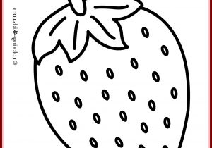 300x210 Kids Easy Drawing Easy Cat Drawing For Kids At Getdrawings Free