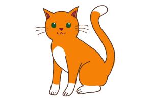 300x200 How To Draw A Simple Cat