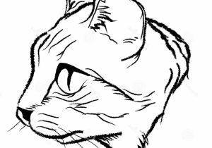 300x210 Easy Cat Face Drawing How To Draw A Cute Kitten Face