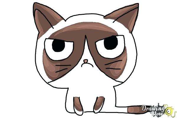 600x400 How To Draw A Cat Face Easy How To Draw A Cute Cat Face Easy