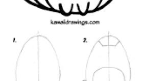 280x158 How To Draw A Cat Face Easy Step